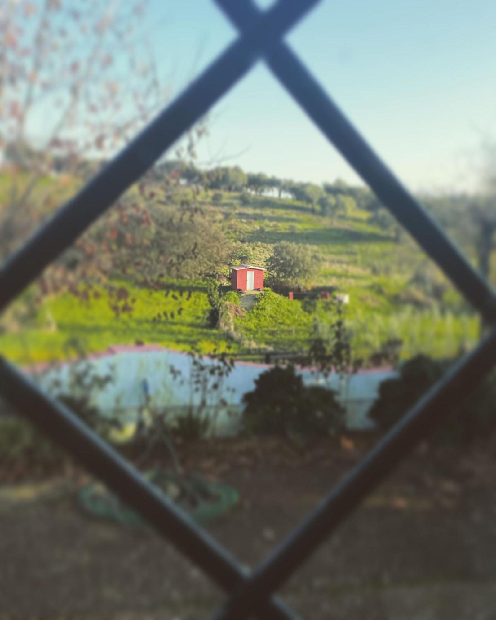 La Casa Barata, Casa Rural Cedillo Eksteriør billede